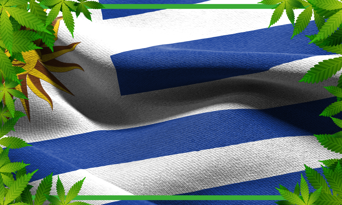 ¿Se viene un impulso al sector uruguayo de cannabis medicinal?